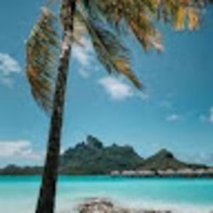 Meet your Posher, Annie